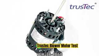 Changzhou Trustec এসি ব্লোয়ার মোটর পরীক্ষা YDK-38-4B60