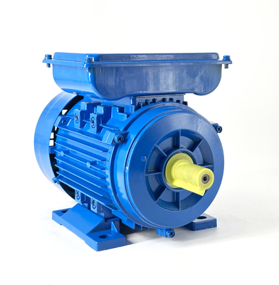 Single Phase AC Induction Motor YL802-4 - 750W 1400RPM 220V 50Hz