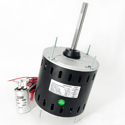 48 ফ্রেম এসি ব্লাভার মোটর - 3/4 এইচপি 230V 50HZ 1100RPM/4SPD-AK39PGD103S প্রতিস্থাপন মোটর